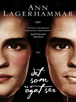 cover image of Det som ögat ser